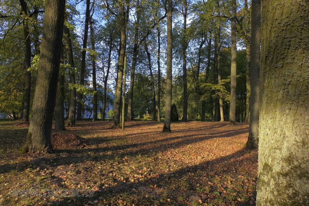 Birst lapas Zaļās muižas parkā