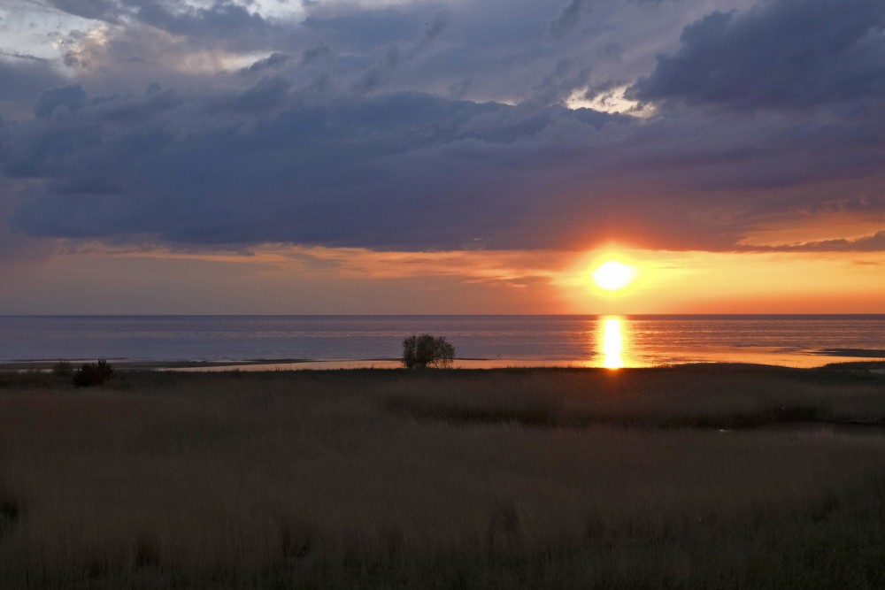 Saulrieta ainava Randu pļavās