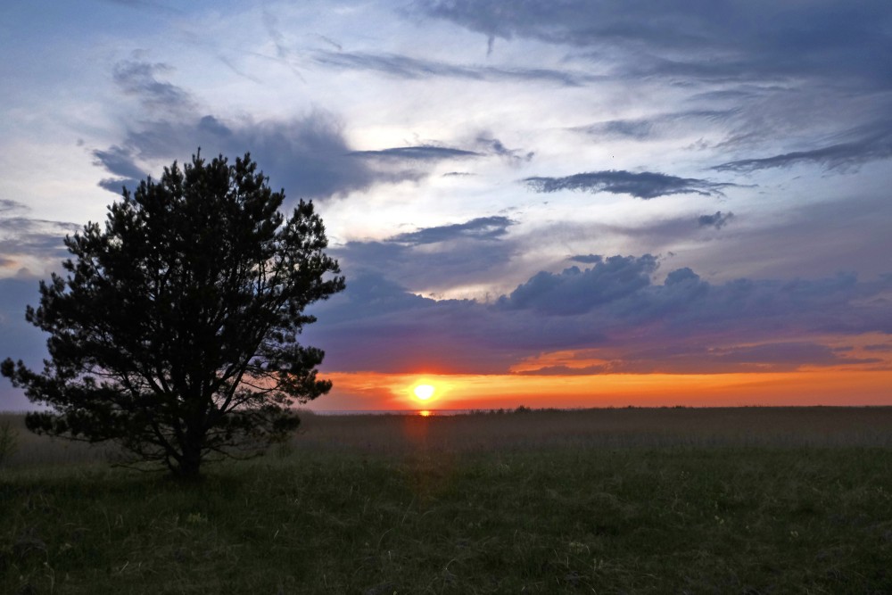 Saulriets Randu pļavās