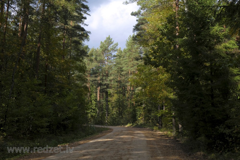 Road to LLU Horse Training Center Mušķi