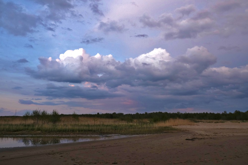 Randu Meadows In The Evening