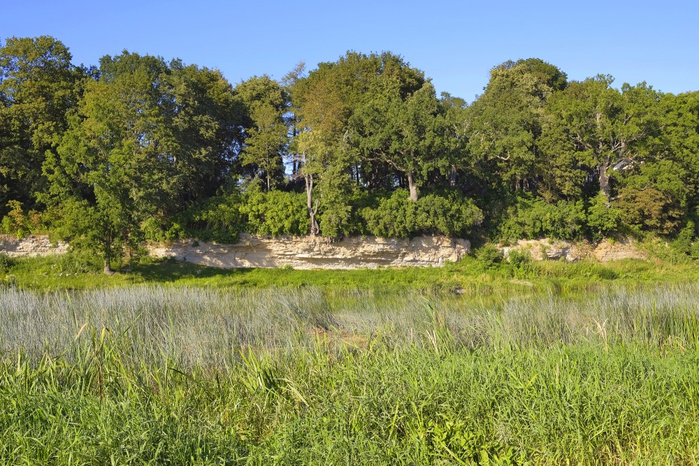 Jumpravas dolomīta atsegums