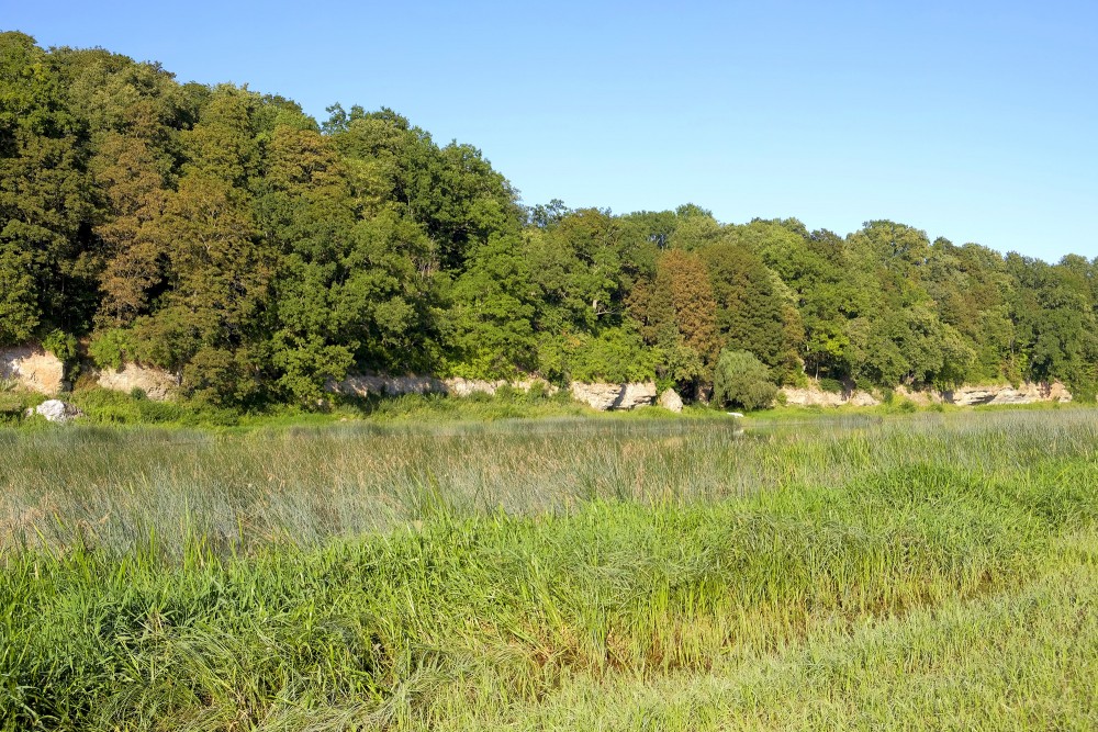 Jumpravas dolomīta atsegums
