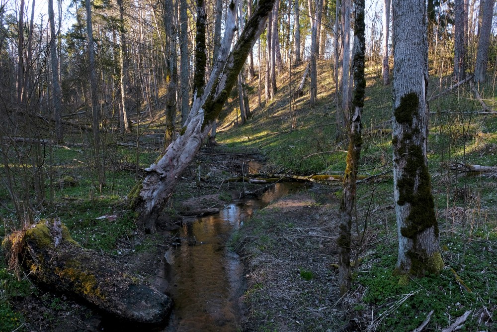 Grava pie Ugāles pilskalna