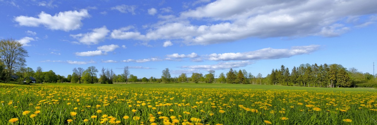 Pieneņu pļavas panorāma, gubumākoņi