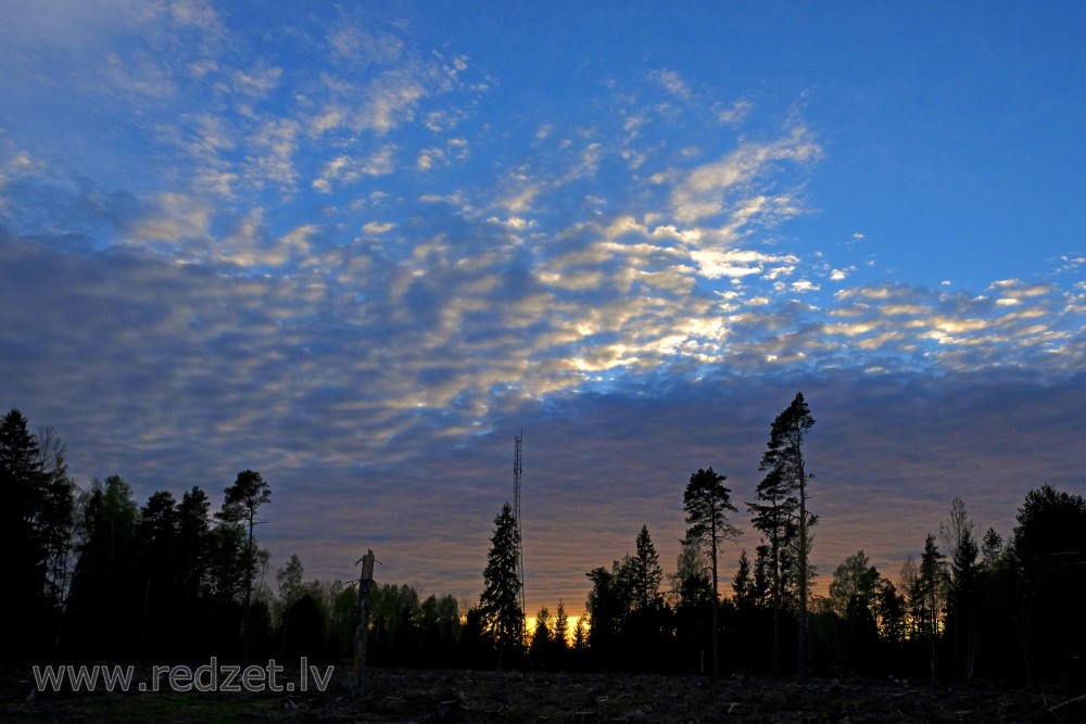 Vakara saulrieta ainava, koku silueti, debesis