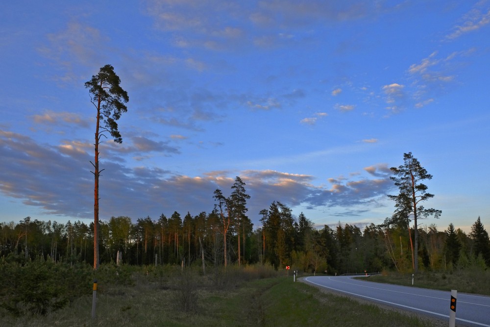 Vakara ainava ar priedi lielceļa malā