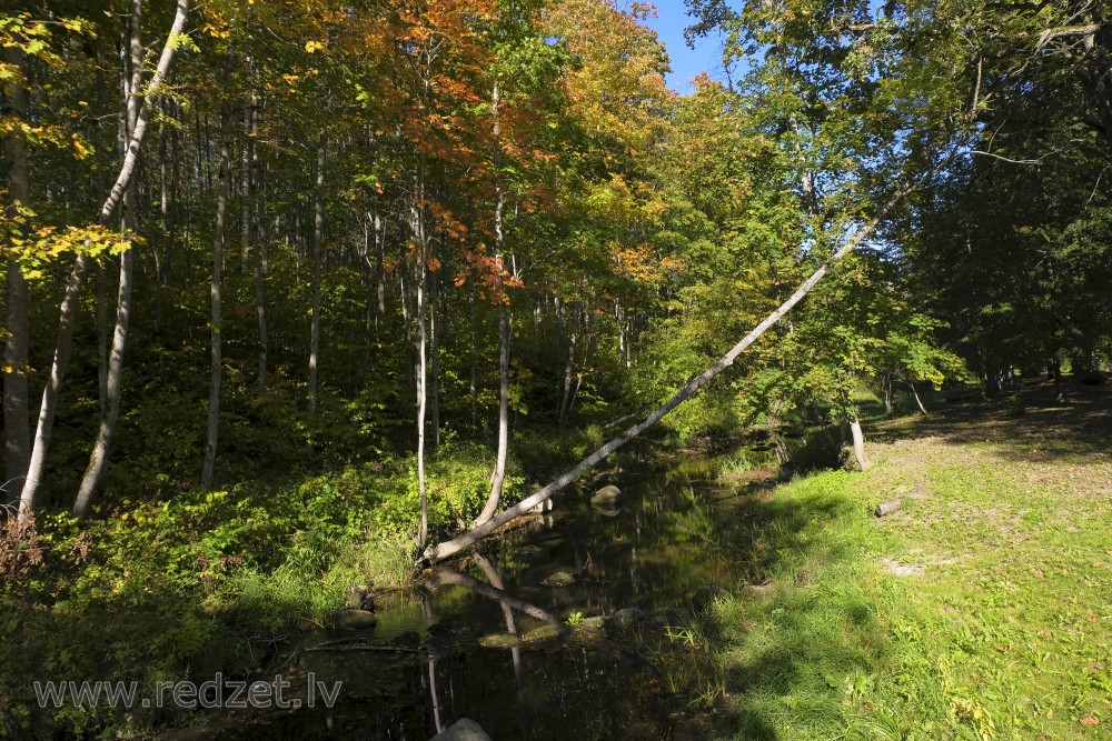 Vilce Ravine at Bridge to Baron Trail