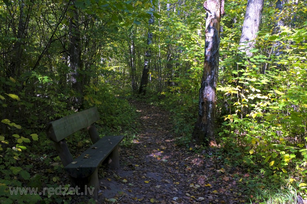 Barona Trail in Vilce Nature Park