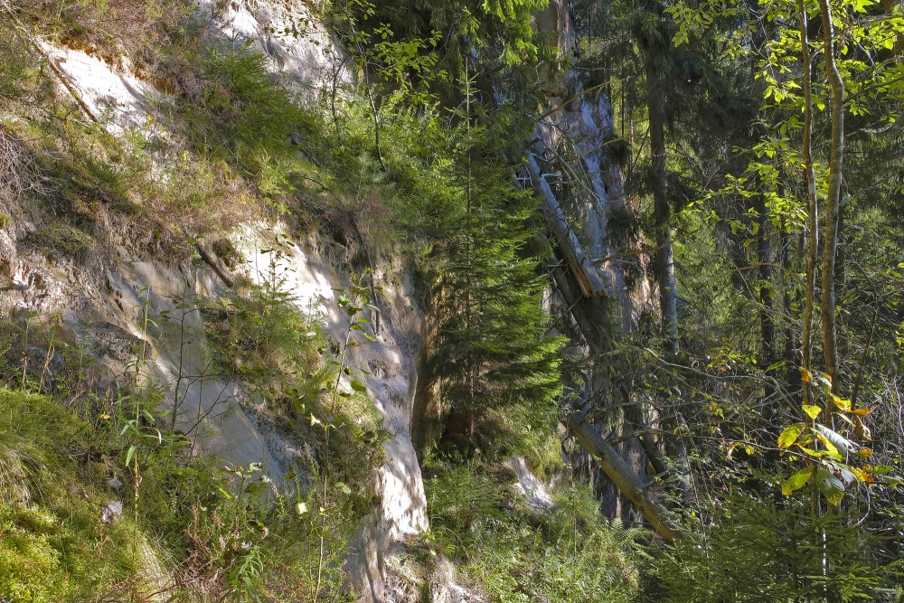 Grīviņu iezis (Sarkanās klintis, Leču Iezis)