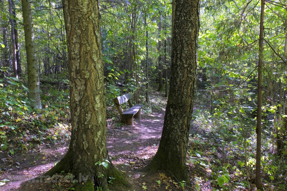 Bench in Barona Trail of Vilce Nature Park