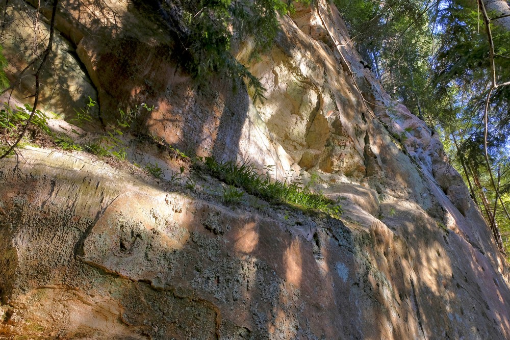 Grīviņu iezis (Sarkanās klintis, Leču Iezis) Grīviņu iezis (Sarkanās klintis, Leču Iezis)