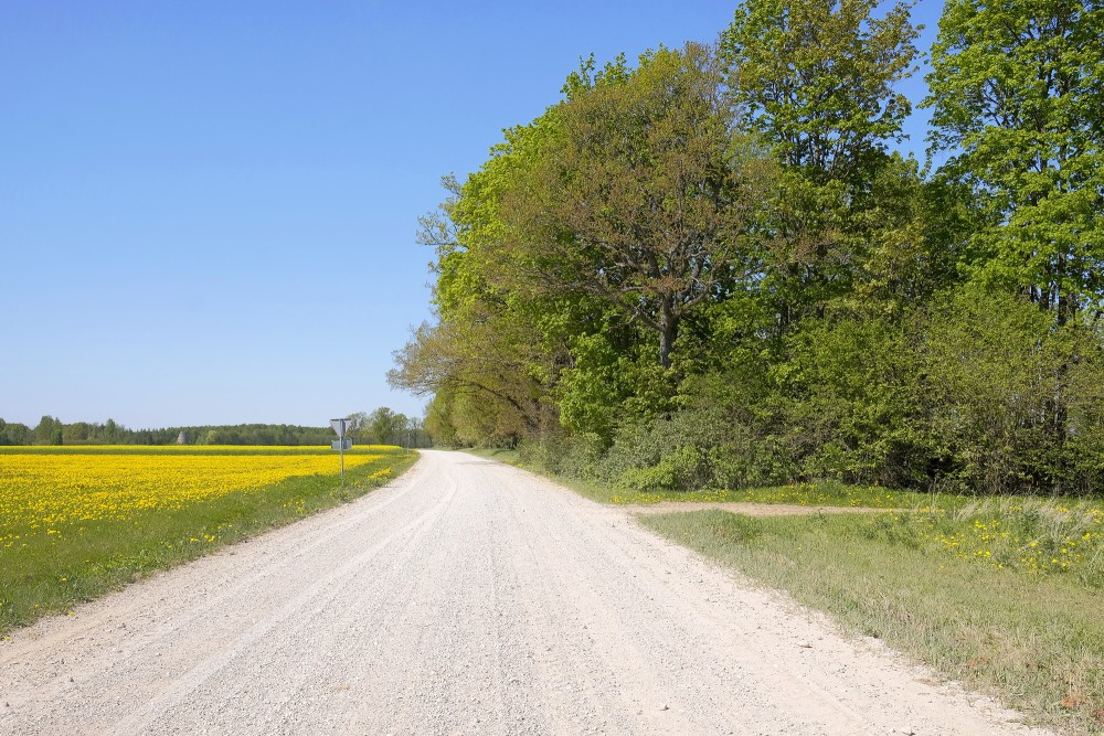 Spring Landscape of Vidzeme