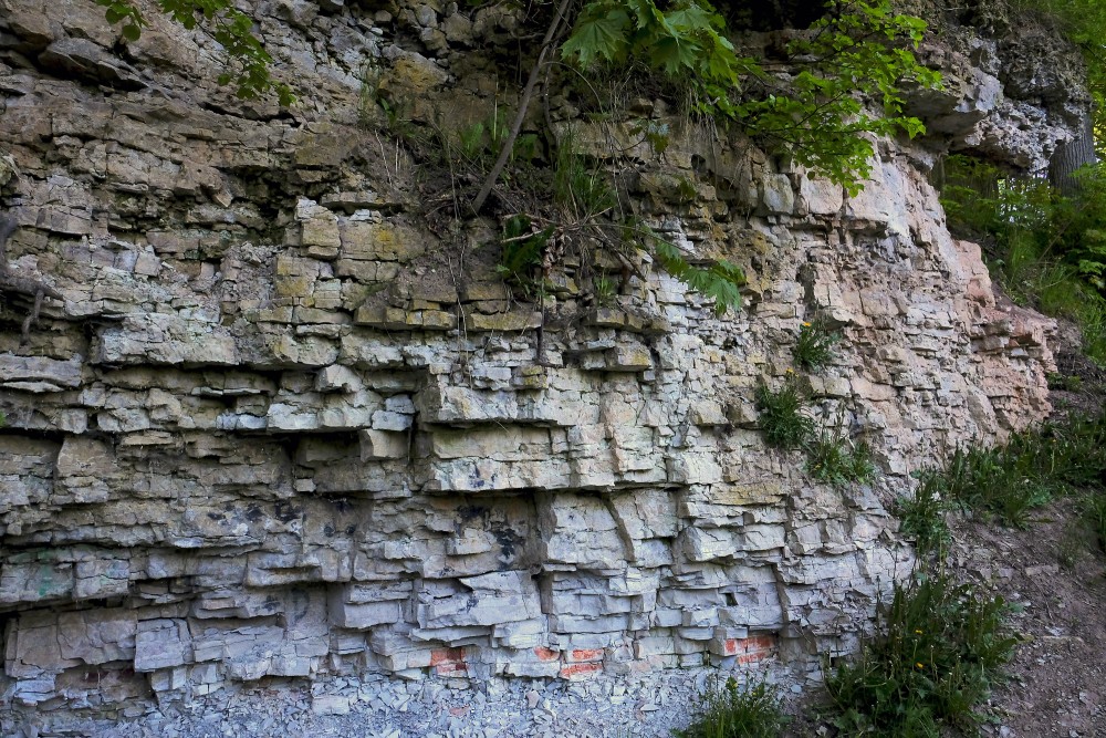 Dolomīta atsegumi Dievdārziņa dabas takā (Iecava)