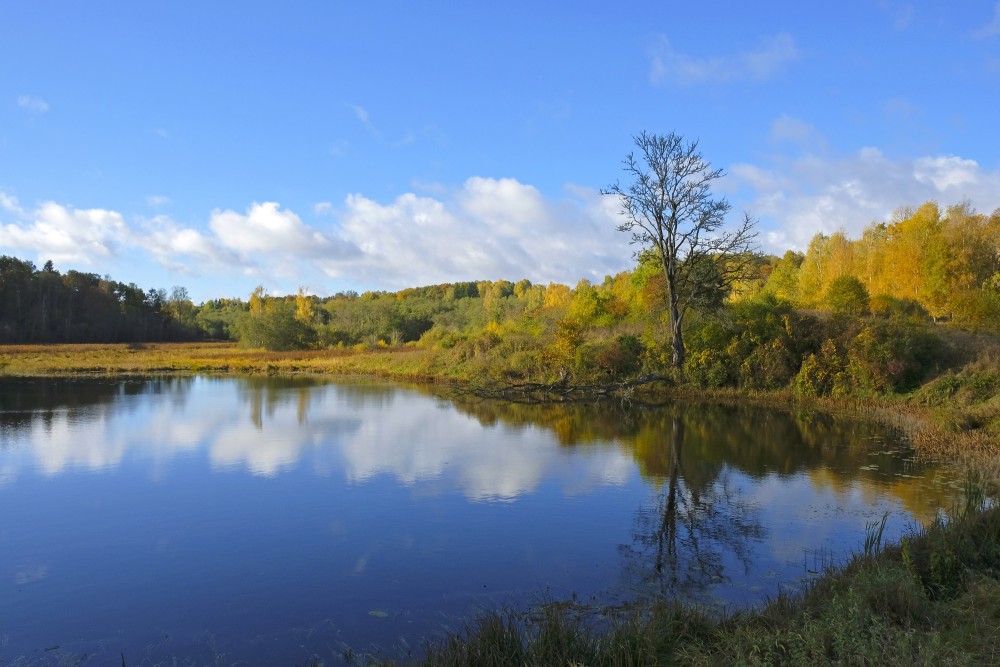 Embūte Castle Pond and Surroundings in Autumn