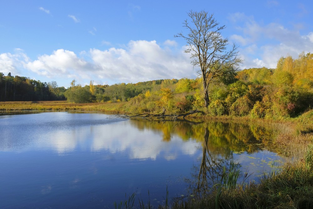 Embūte Castle Pond and Surroundings in Autumn