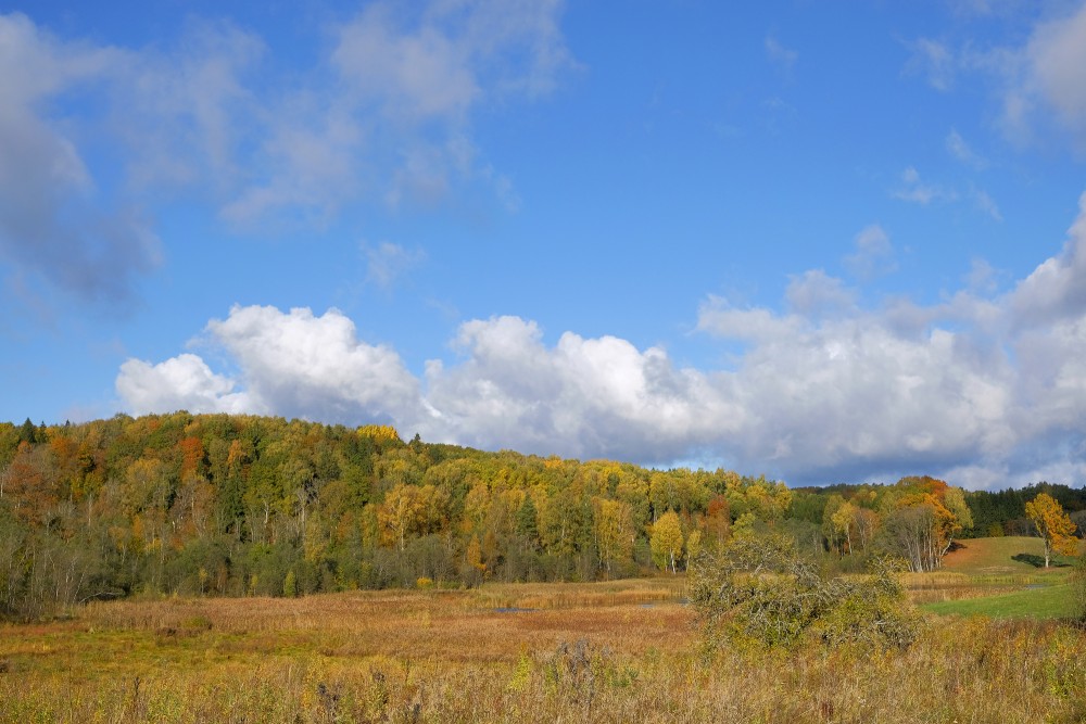 Landscape of the Embūte Old Valley