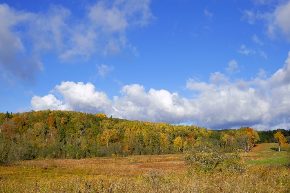 Embūtes senlejas ainava