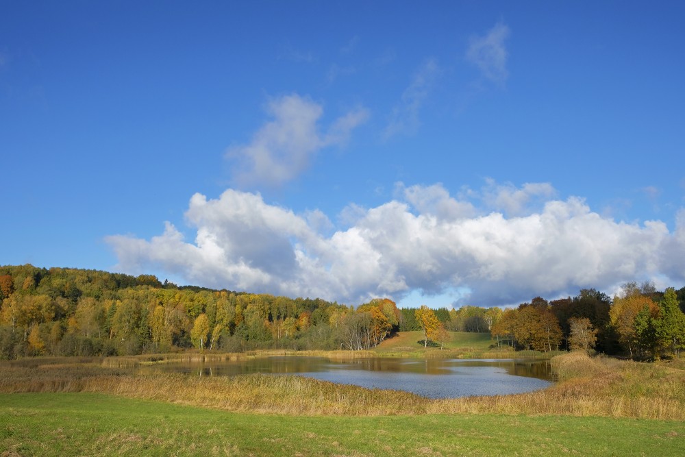 Landscape of the Embūte Old Valley, Cepļupe Pond