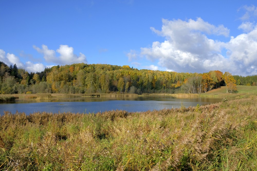 Landscape of the Embūte Old Valley, Cepļupe Pond