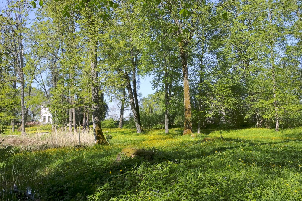 Bauņi Manor Park