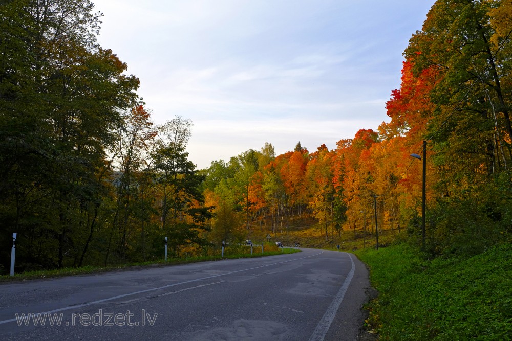 Sigulda Autumn Landscape