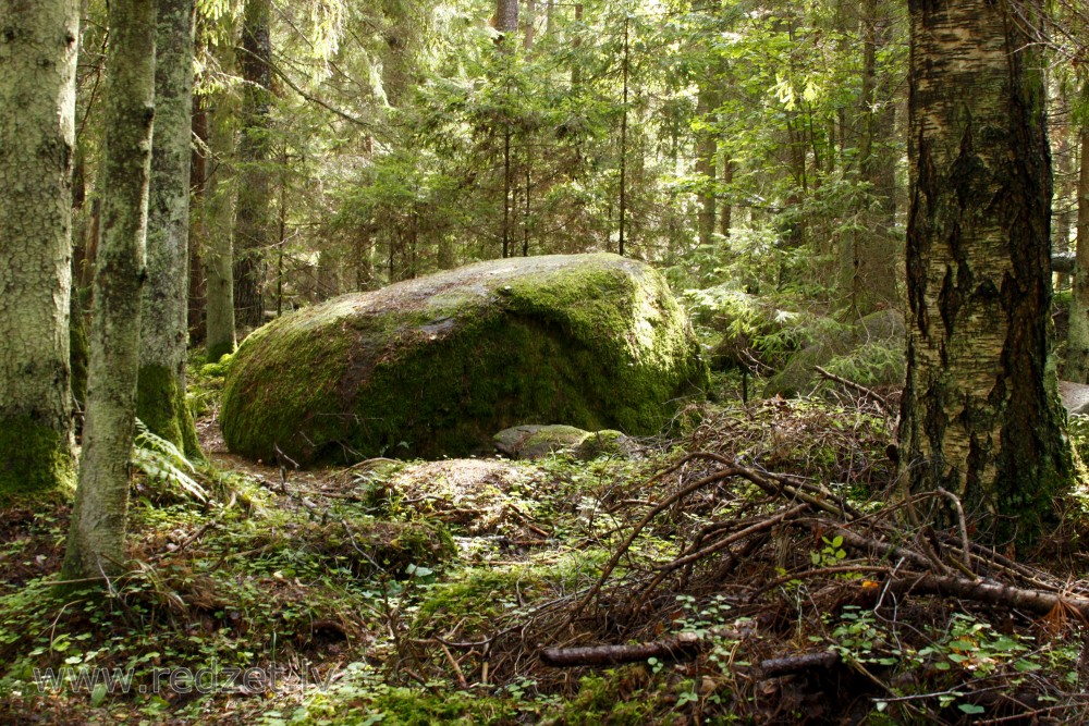 Dabas piemineklis "Kaltenes Kalvas"