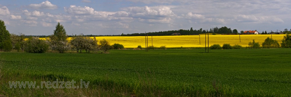 Lauku ainava Kaķeniekos