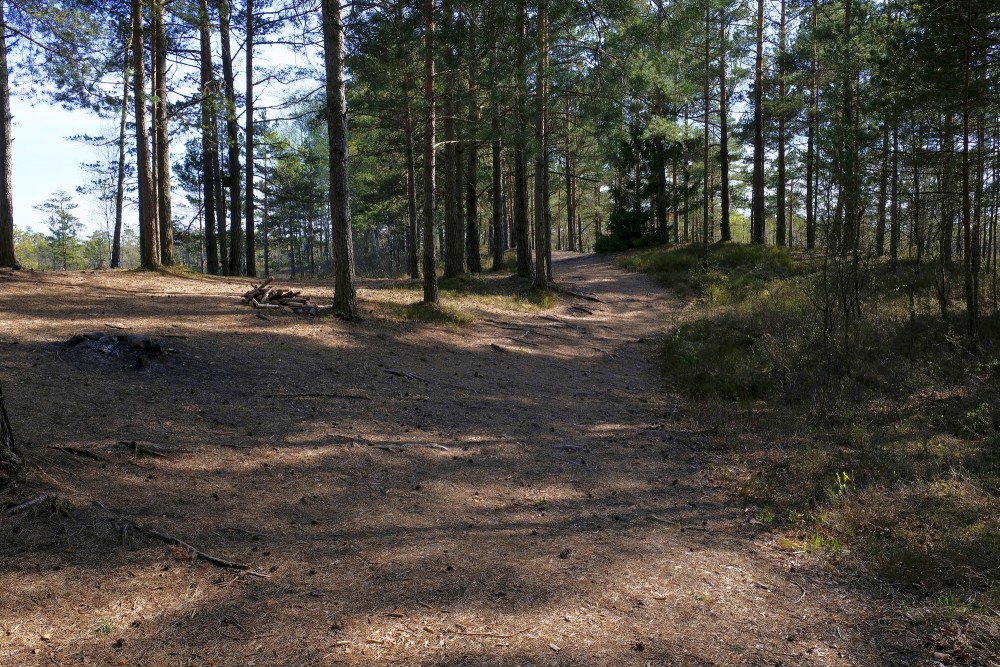 Dunika Bog Trail, Latvia