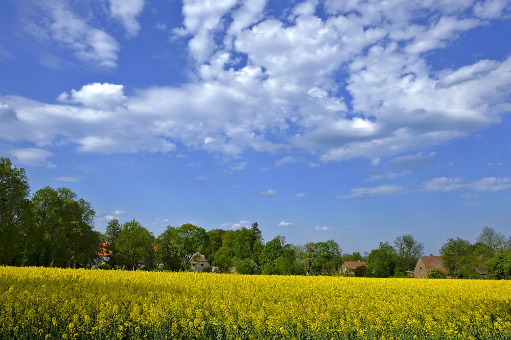 Popes ainava, rapša lauks