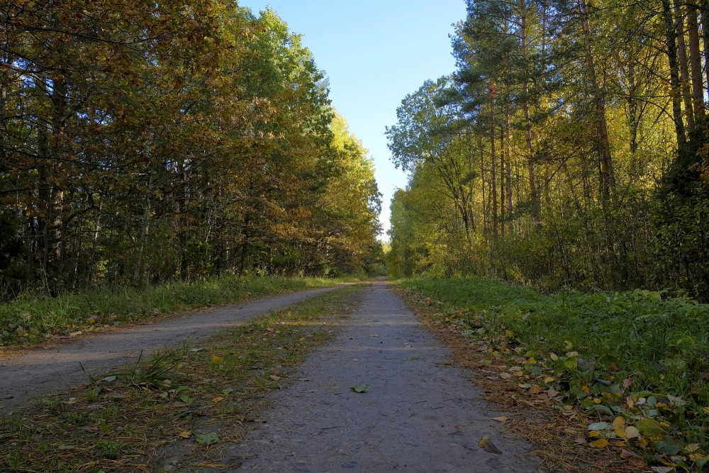 Road in the Territory of Sātiņi ponds