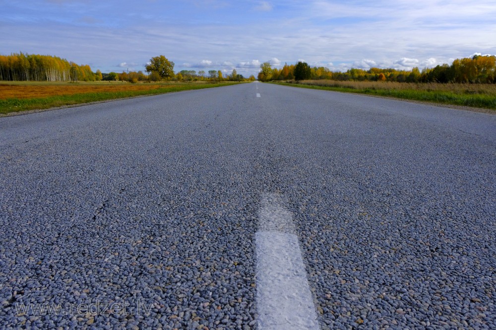 Autumn Landscape and Asphalt concrete