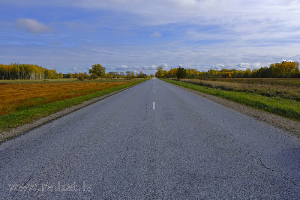 Autumn Landscape and Asphalt concrete