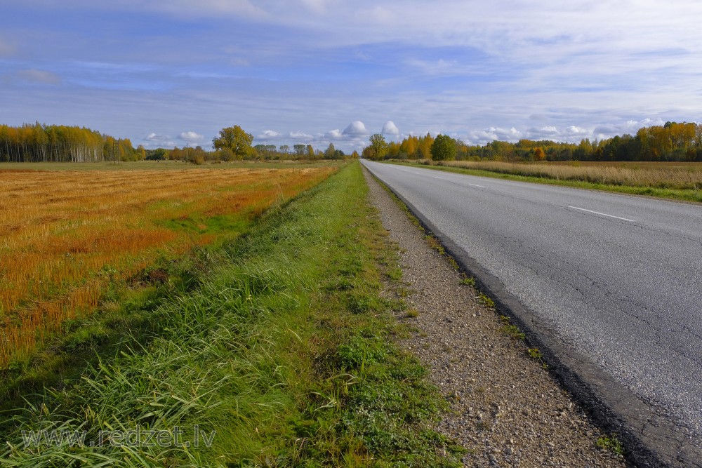 Autumn Landscape and Asphalt concrete