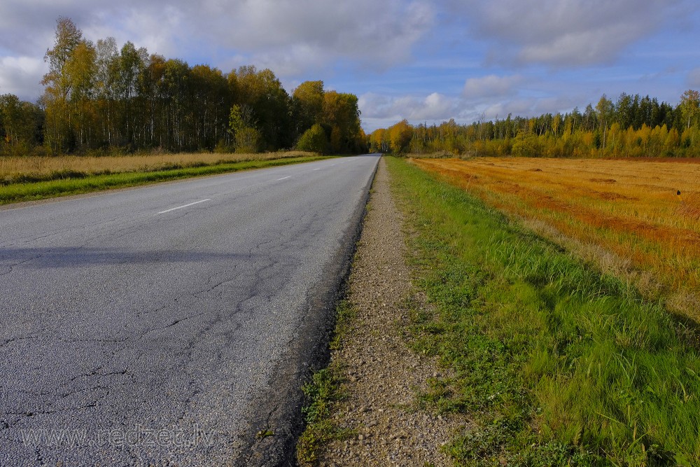 Autumn Landscape and Asphalt concrete