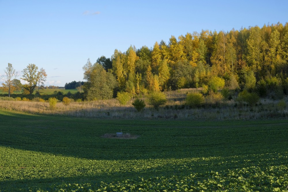 Autumn Landscape