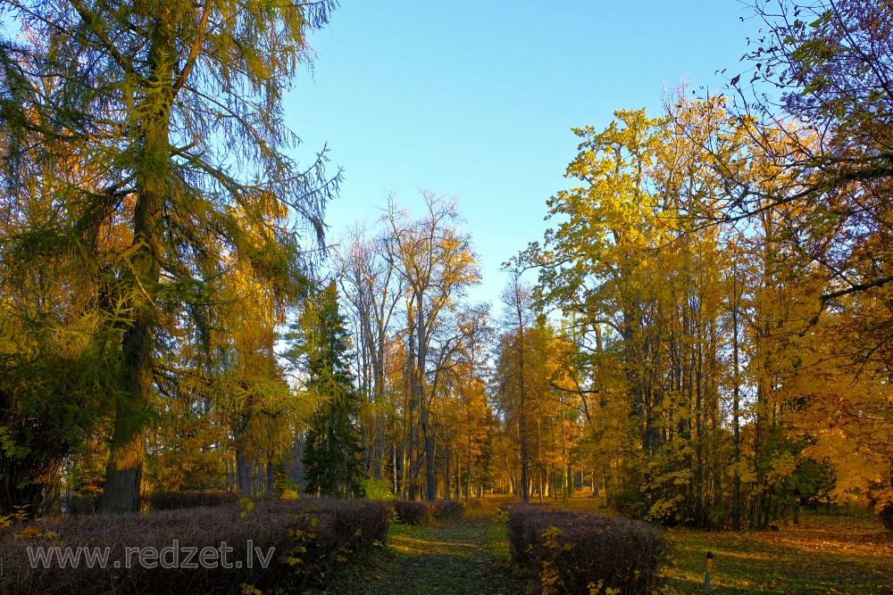 Marinzejas muižas parks rudenī