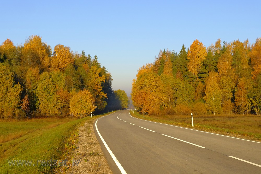 Krāšņa rudens ainava un asfaltēts ceļš