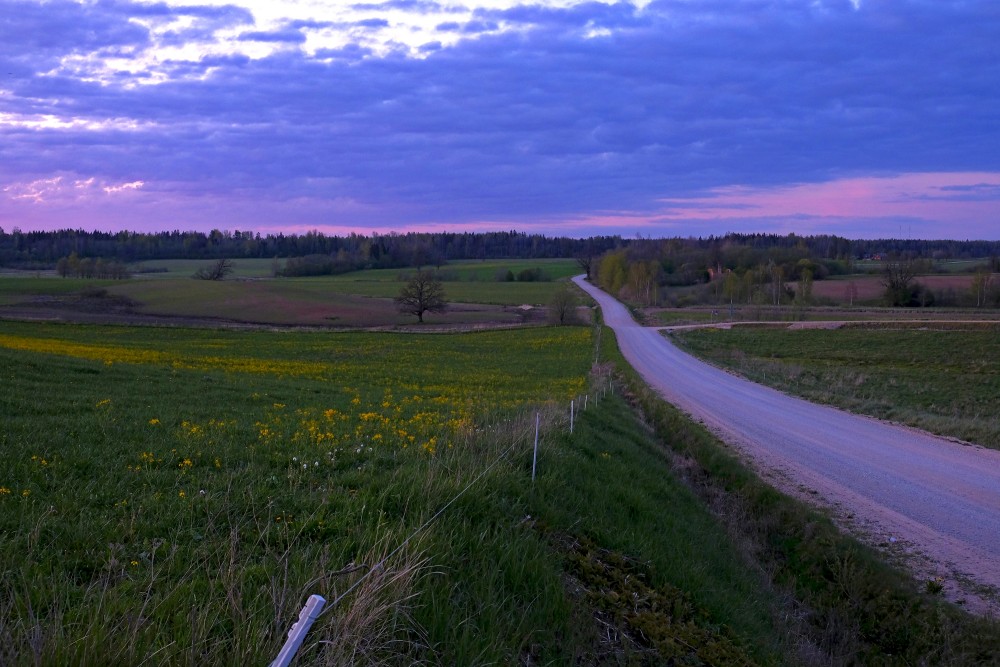 Gorgeous Countryside In The Evening Light