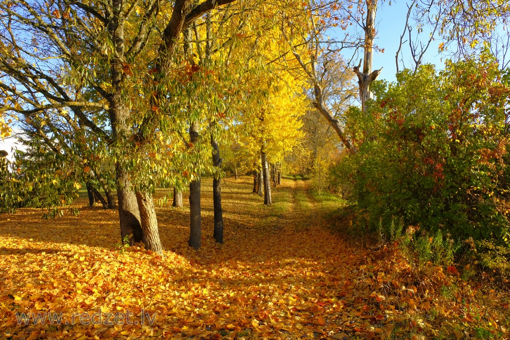 Krāšņa rudens ainava