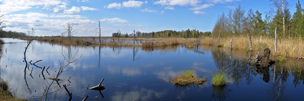 Natural Peat Pits Panorama