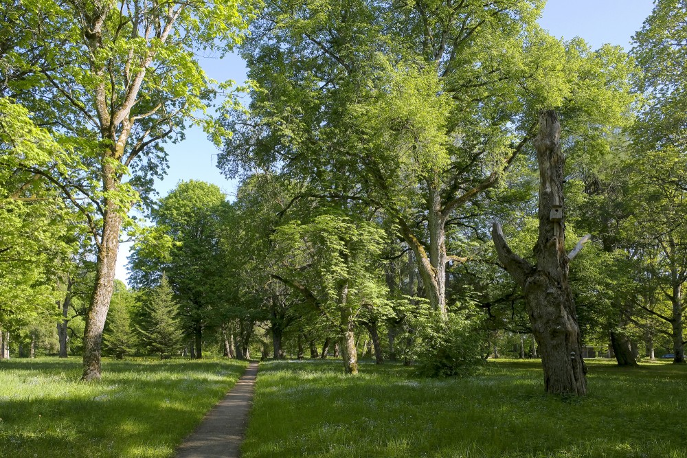 Kazdanga Manor Park