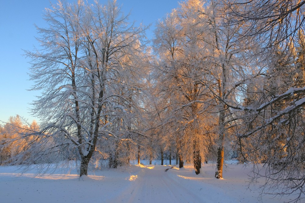 A Snowy Alley