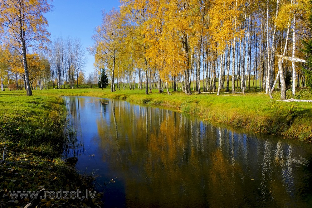 Autumn Landscape with Birch Tree