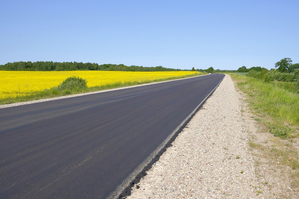 Asphalted Road, Rape Field