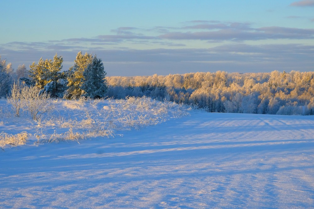 Winter Landscape