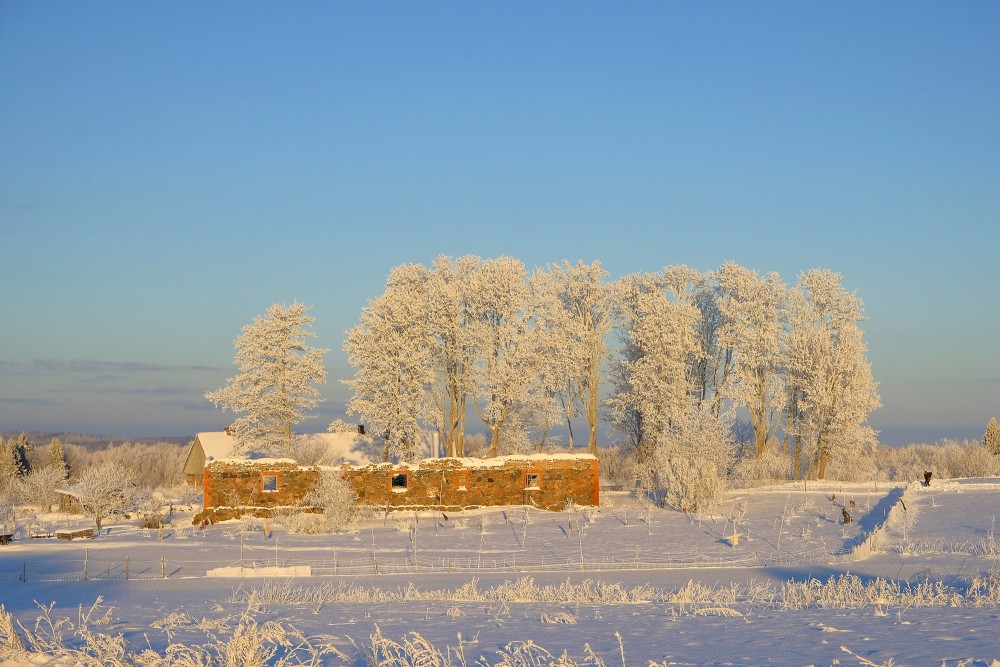 Winter Landscape
