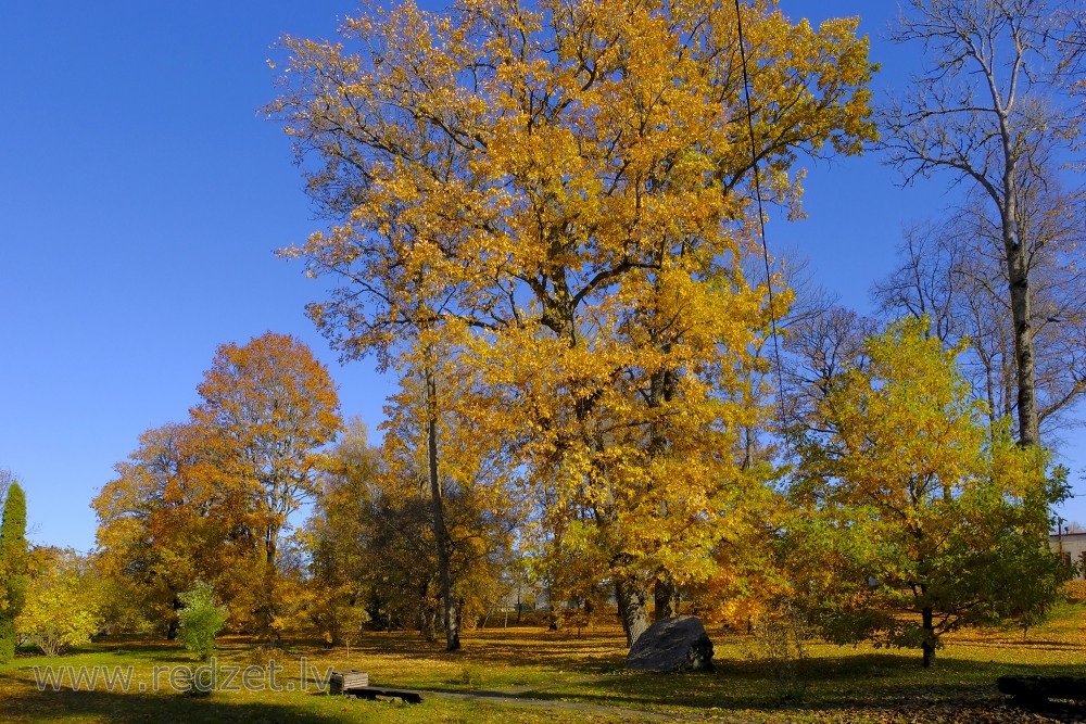 Nēķena muižas parks