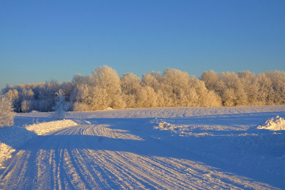 Winter Landscape