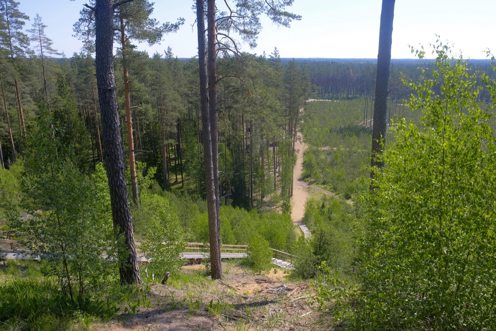 Skats no Zvirgzdes kāpas Skats no Zvirgzdes kāpas